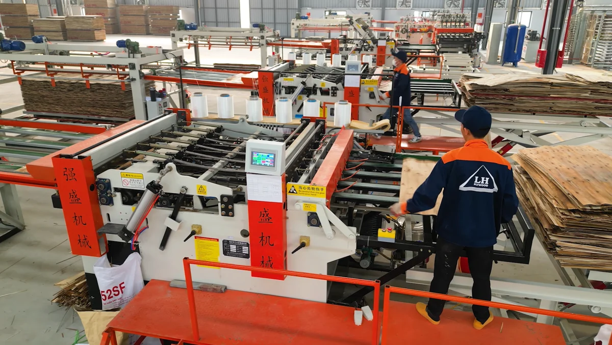 Hoạt động sản xuất tại nhà máy Long Hưng Plywood — ảnh 2