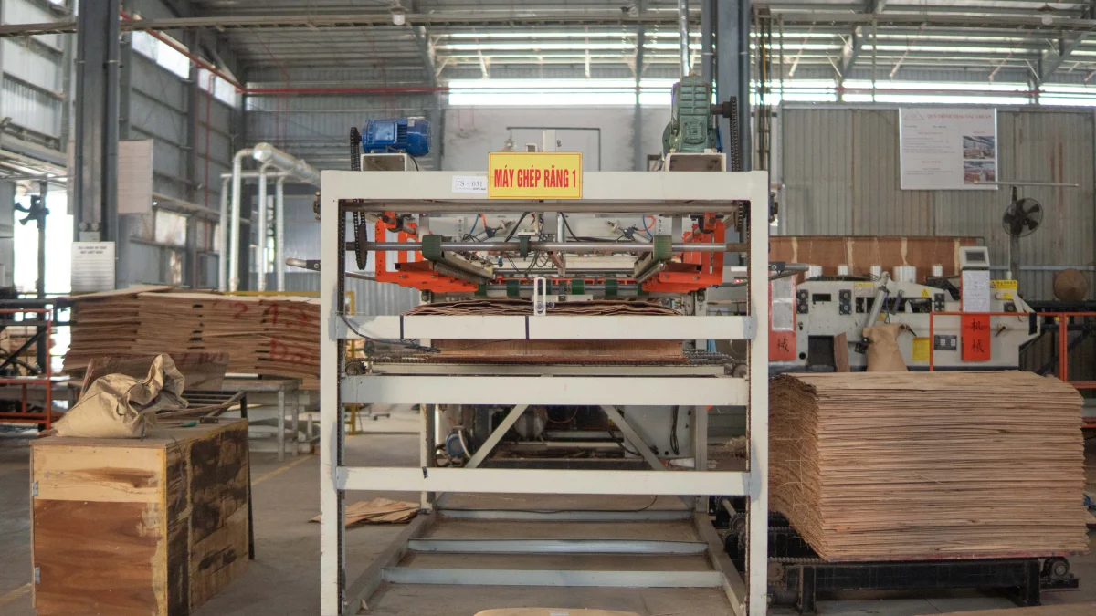 Hoạt động sản xuất tại nhà máy Long Hưng Plywood — ảnh 3