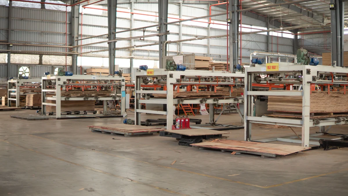 Hoạt động sản xuất tại nhà máy Long Hưng Plywood — ảnh 4